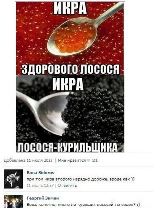 Смешные комментарии из социальных сетей