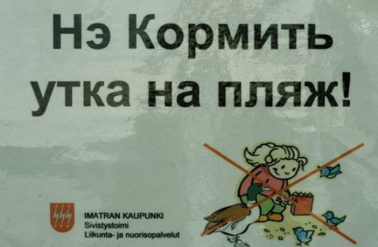 Орфографические ошибки
