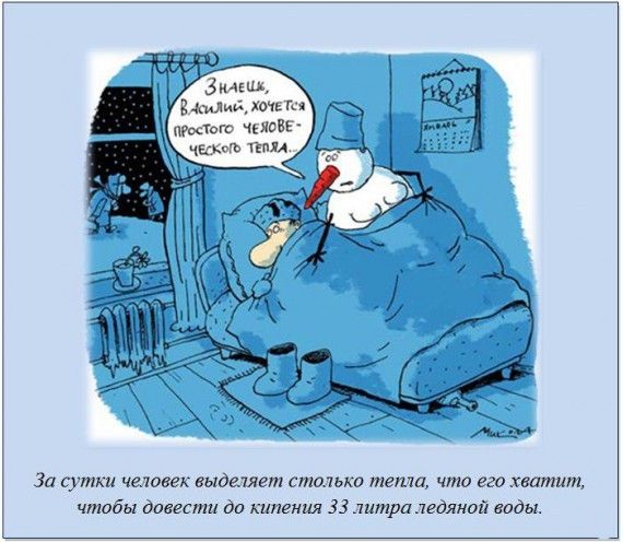 Занимательные факты в картинках
