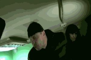 Недовольные хрюши в магазине