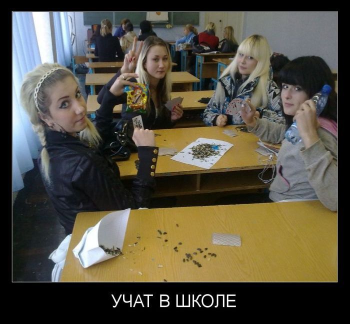 Сборник прикольных демотивационных картинок
