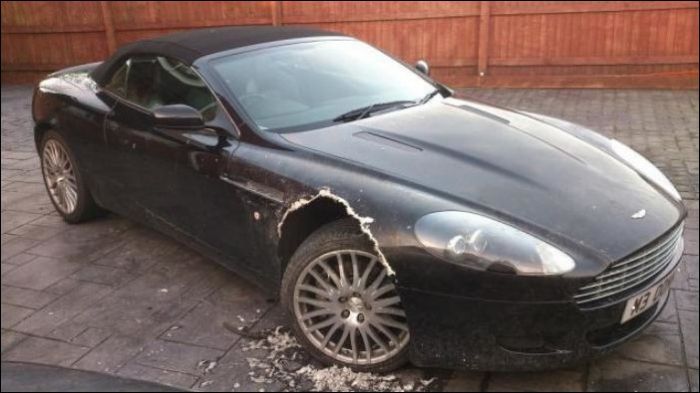 Что сделала собака с Aston Martin