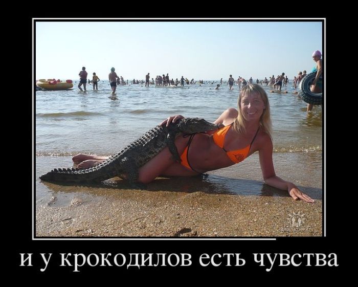 Сборник демотиваторов со смыслом и без