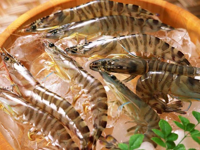 Полезные факты о поддельных продуктах питания