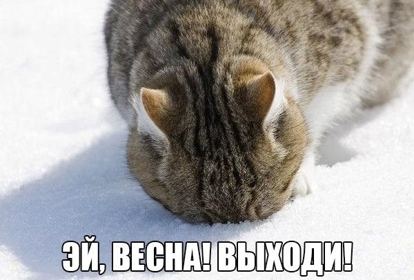 Смешные картинки