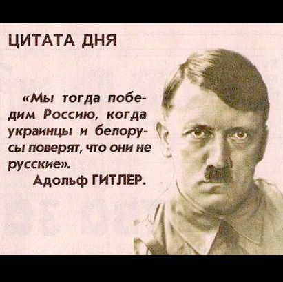 Самые актуальные цитаты интернета