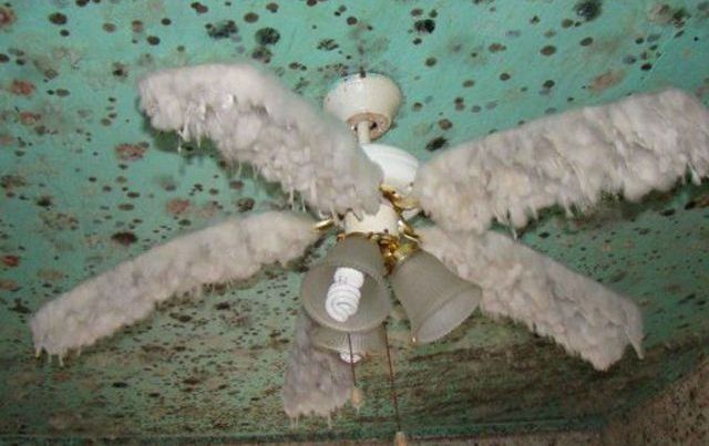 Странности в фотографиях