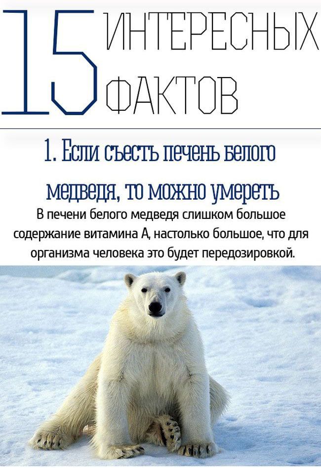 Интересные и познавательные факты