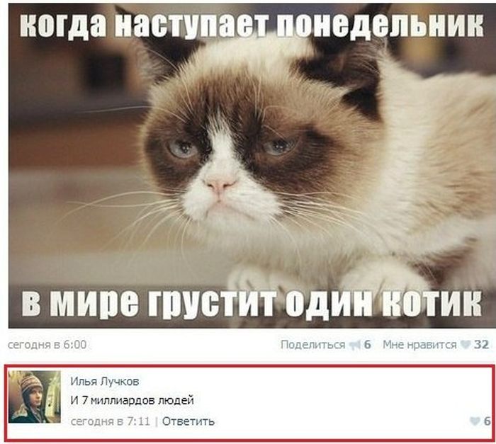 Классные фотоприколы и просто красивые картинки на сегодня