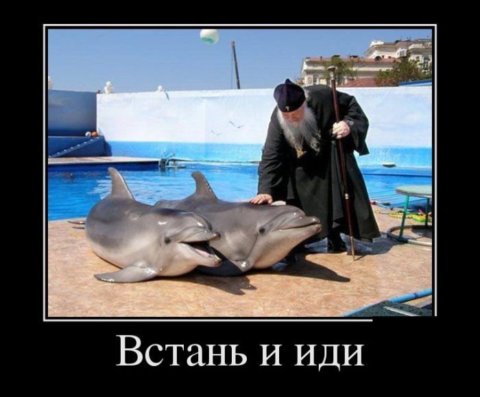 Сборник демотивационных приколов