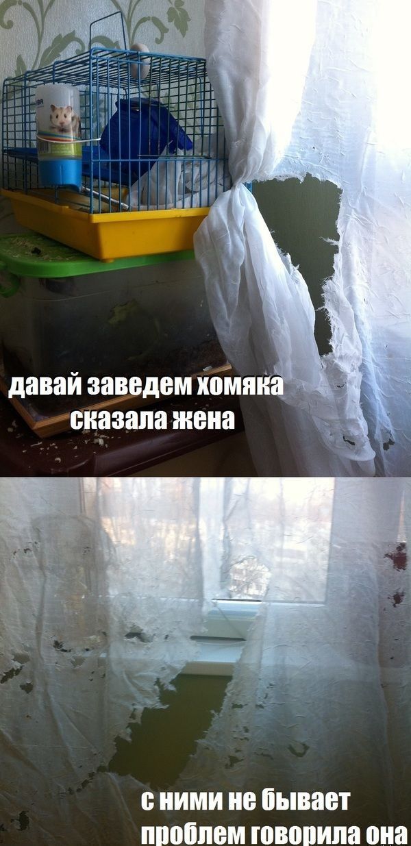 Подборка юмора