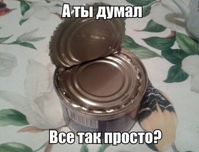 Веселая подборка фотоприколов