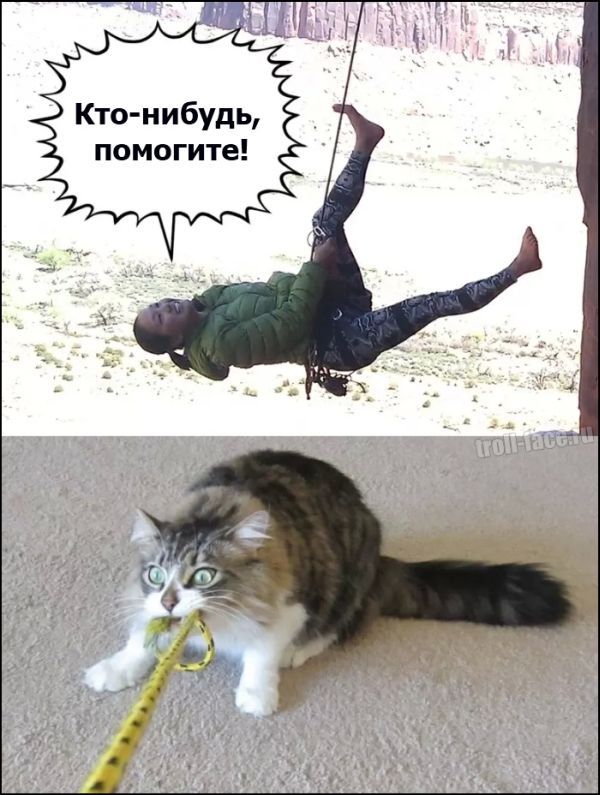 Забавные комиксы