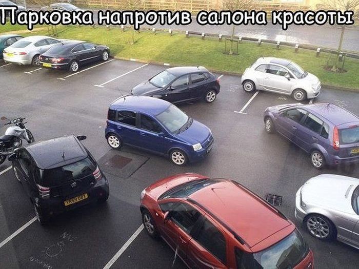 Приколы от автолюбителей