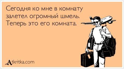 Смешные "аткрытки" с надписями