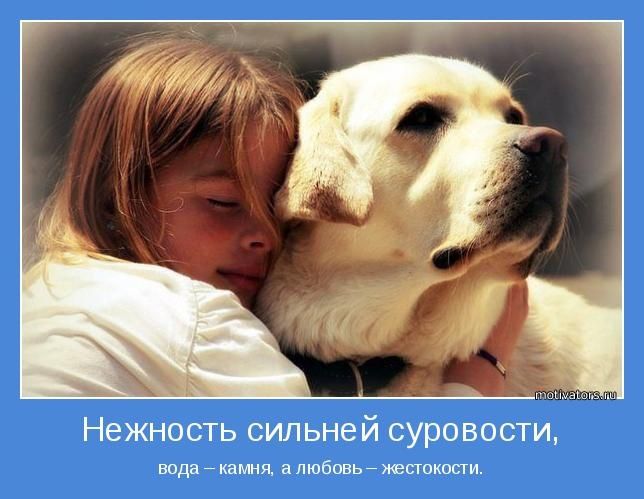Мотиваторы для хорошего настроения!