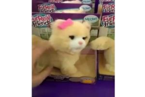 Безумная игрушка