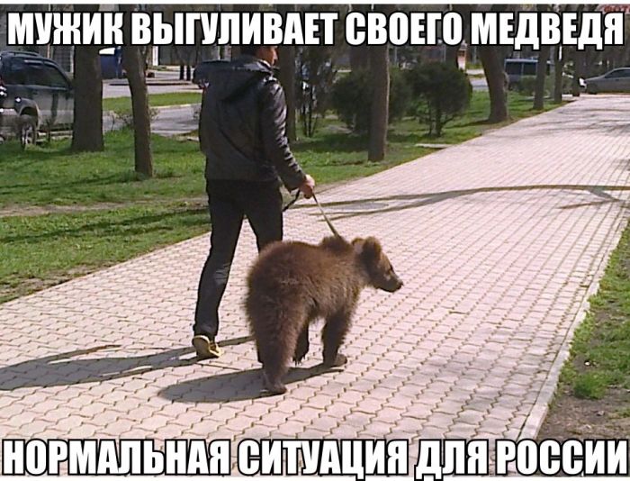 Веселая подборка фотоприколов и просто классных фото