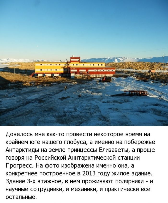 Жизнь в Антарктиде