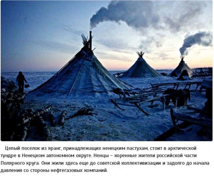 Жизнь в суровых условиях