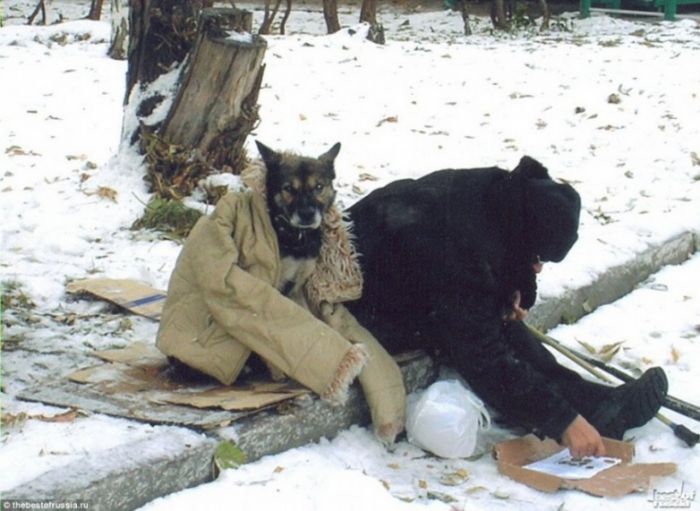 Коллекция эмоциональных снимков