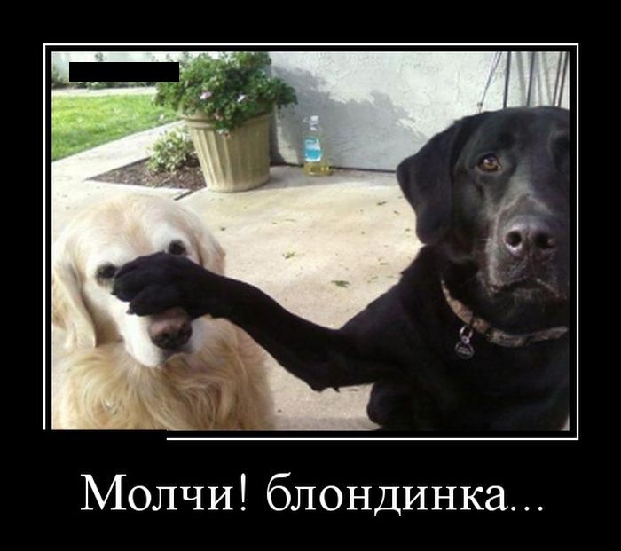 Сборник демотивационных приколов