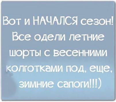 Отличная коллекция цитат