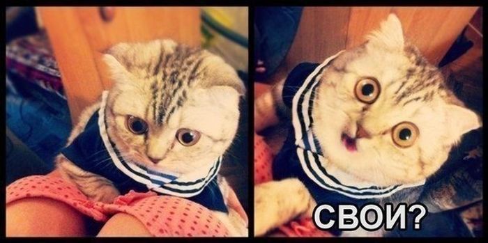 Веселая подборка фотоприколов