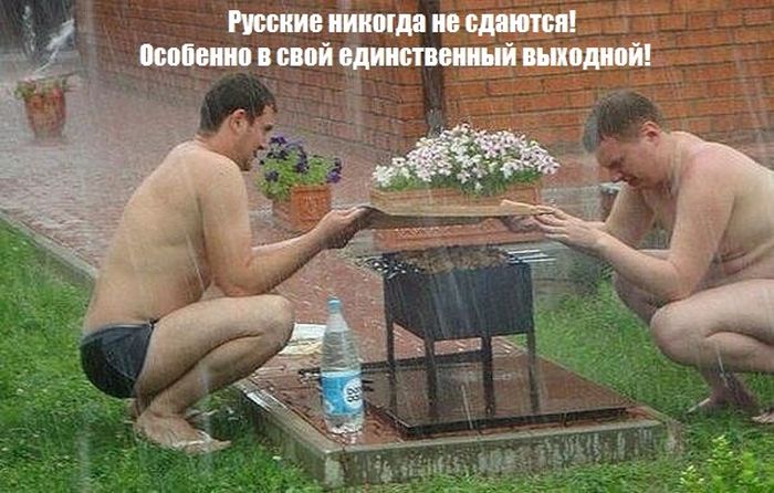 Сборник позитивных картинок и замечательных фотоприколов