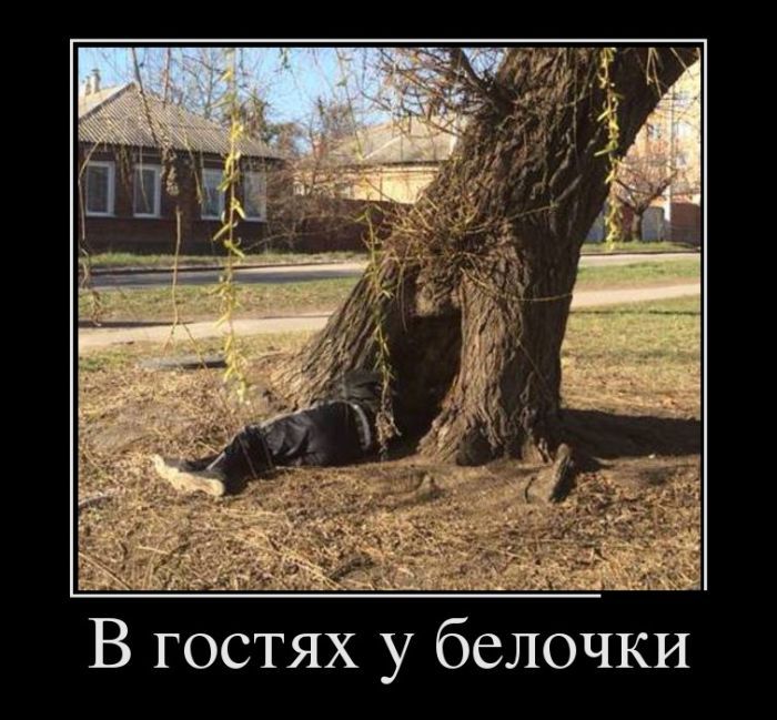 Сборник демотивационных приколов