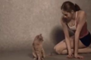 Ночью в кухне с котом