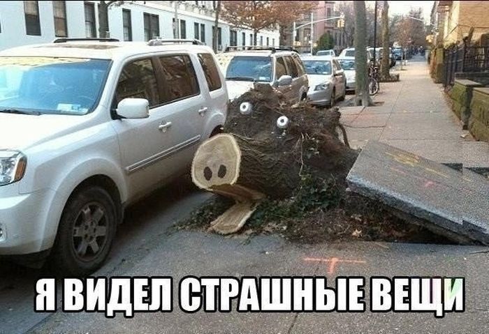 Фотоприколы и позитивные фото для поднятия настроения