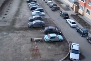 Общество газоно любителей
