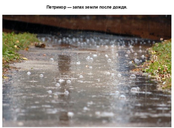 Необычные слова