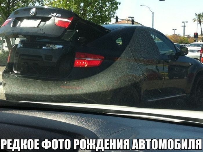 Веселая подборка фотоприколов и просто классных фото