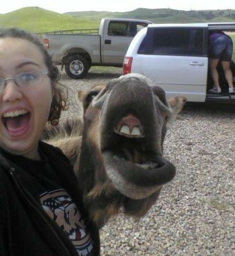 Забавные фотобомбы