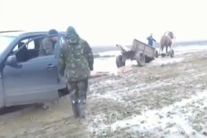 Лошадиные силы в деле