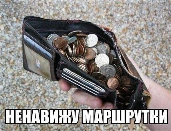 Забавная подборка