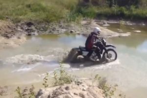 Думал переплыть?