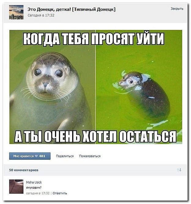 Смешные комментарии из социальных сетей