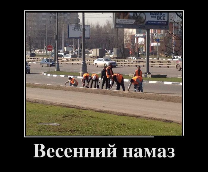 Сборник демотивационных приколов