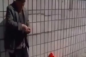 У мужика есть настоящий друг