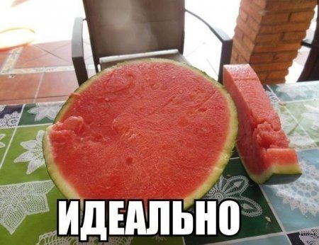 Веселая подборка фотоприколов