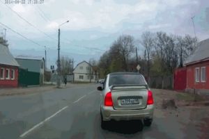 Собака-бегун протаранила машину