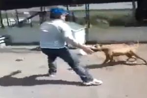 Додразнился