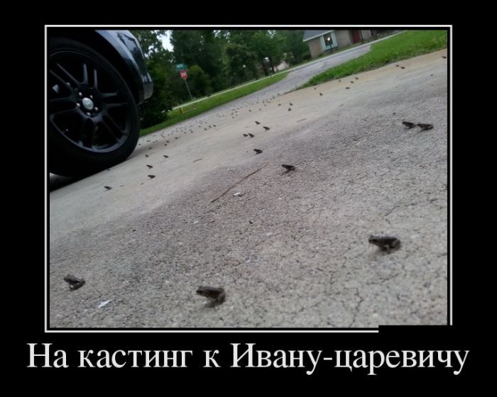 Сборник демотивационных приколов