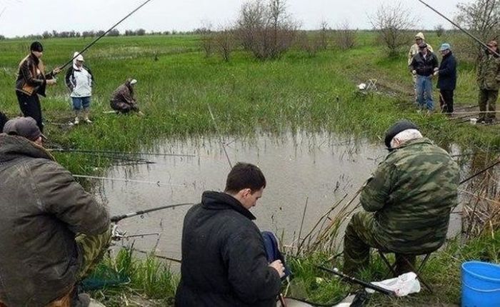 Такое возможно только в России...