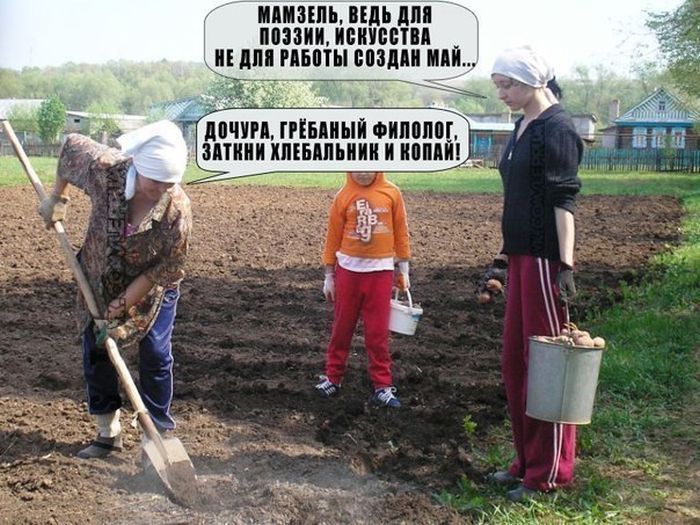 Веселая подборка фотоприколов