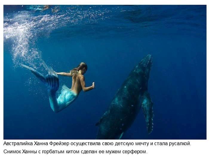 Коллекция удивительных снимков