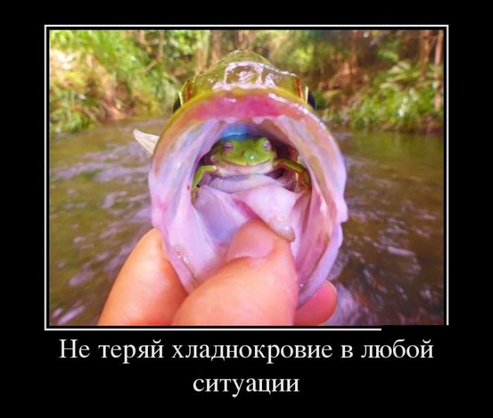 Сборник демотивационных приколов